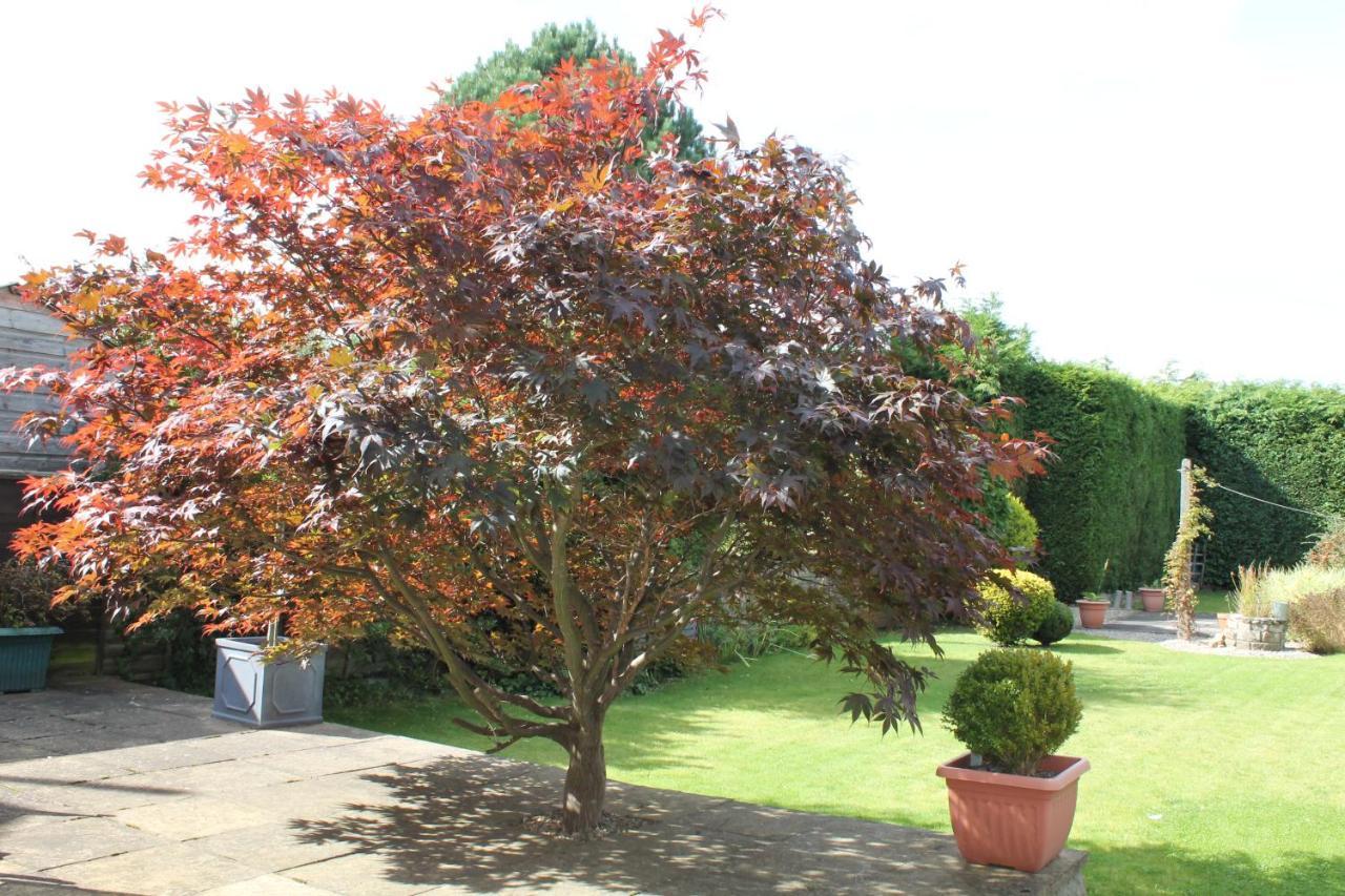 Holiday home Chaloners, Free Parking, Large Garden, Close To Races & Centre York