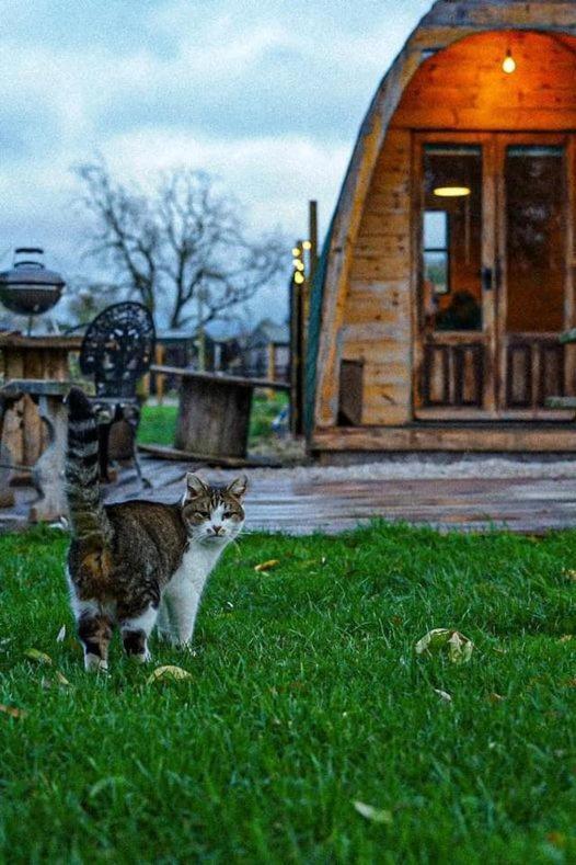 Skipbridge Farm Glamping *