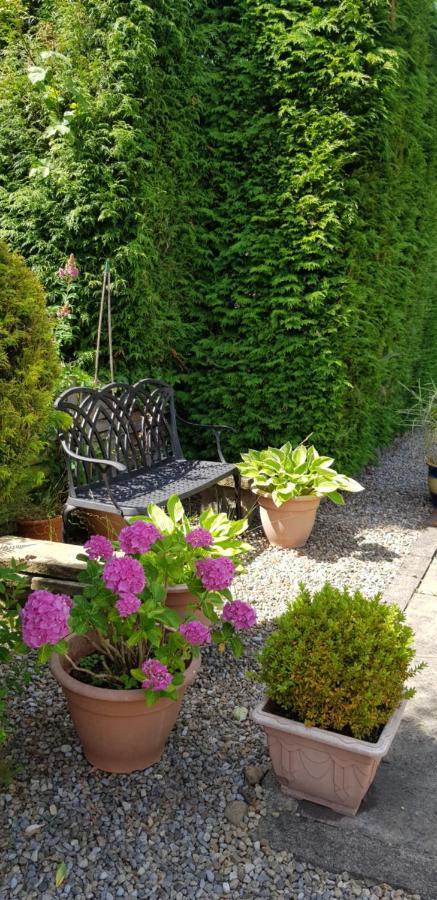 Holiday home Chaloners, Free Parking, Large Garden, Close To Races & Centre