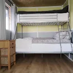 Daisy Lane Glamping