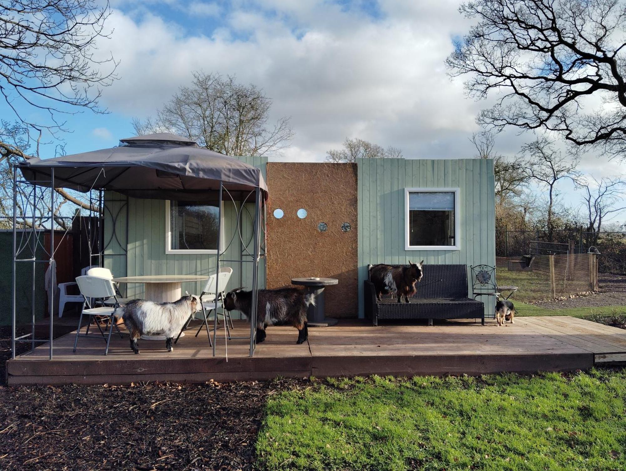 Daisy Lane Glamping