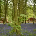 Hollicarrs - Woodland Lodge