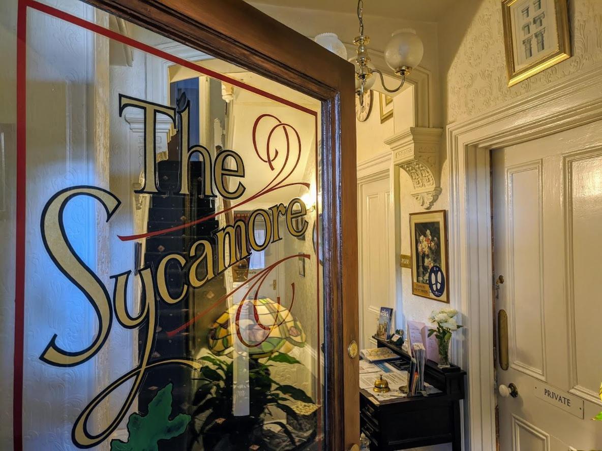 Guest house The Sycamore 4*