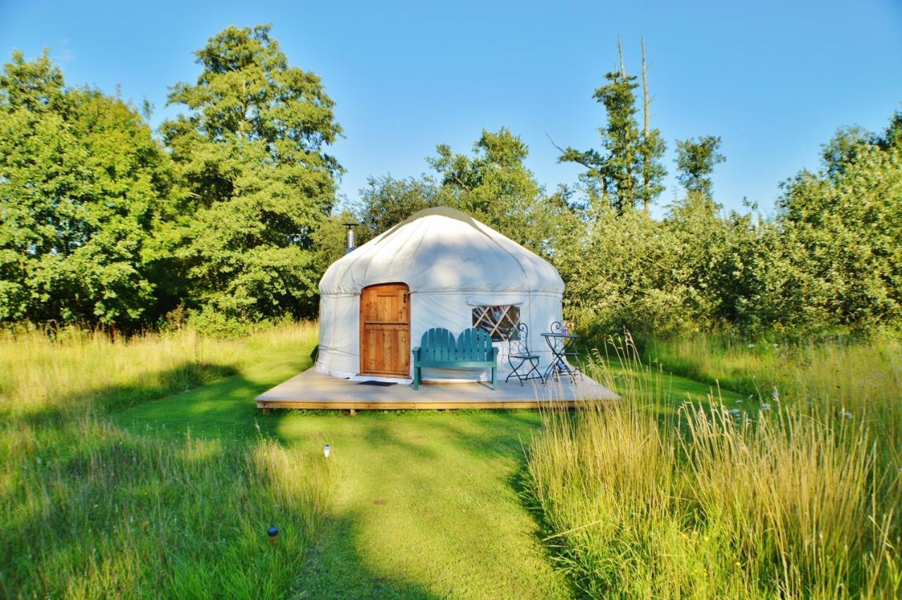 Acorn Glade Glamping * York