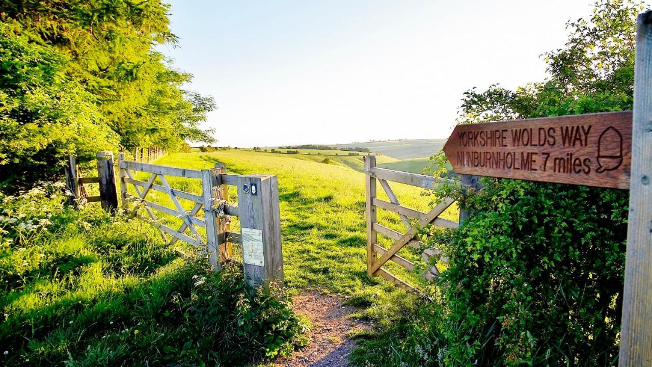 Acorn Glade Glamping Lodge *
