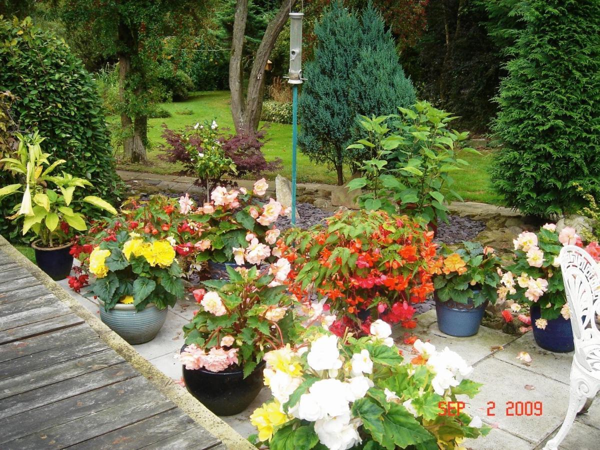 The Willows Bed & Breakfast