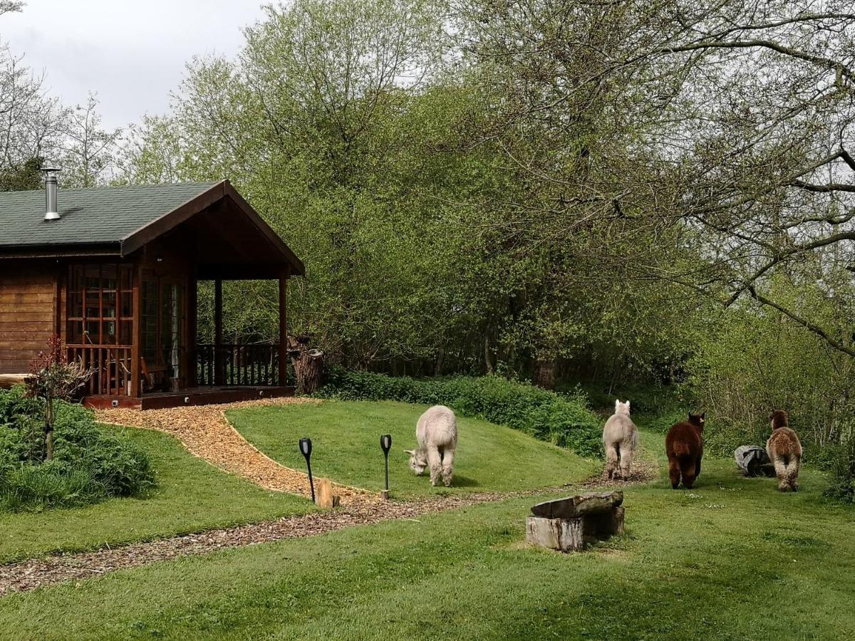 Lodge Acorn Glade Glamping