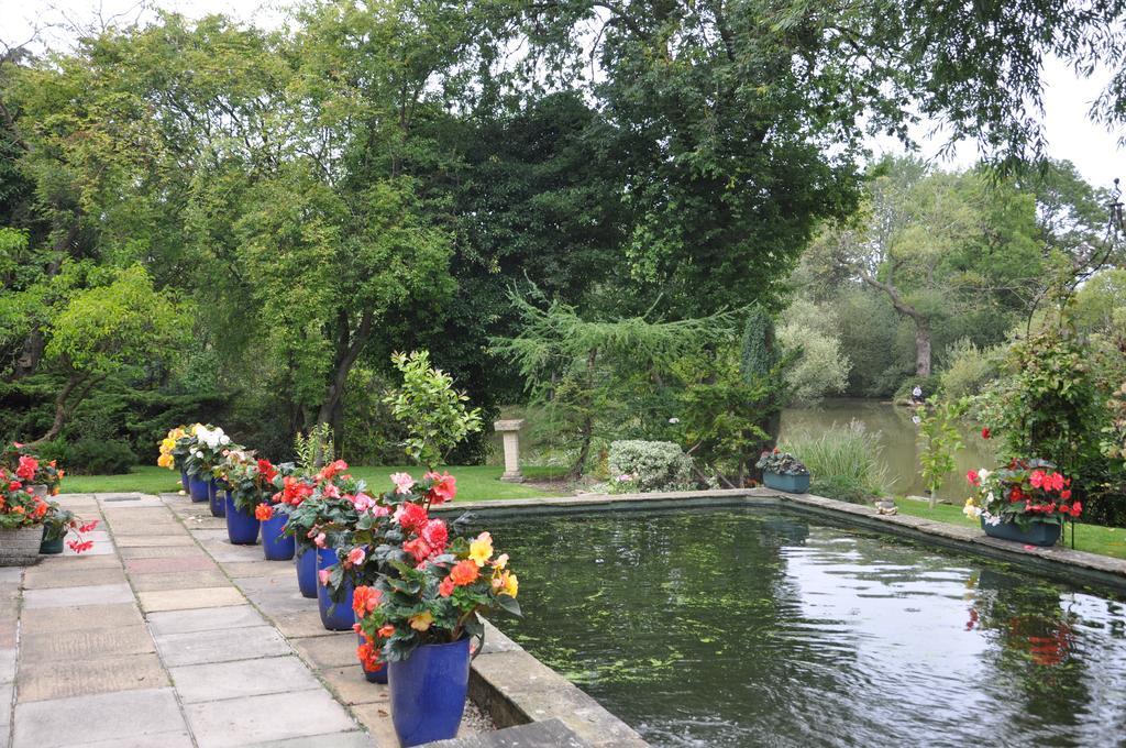 The Willows York