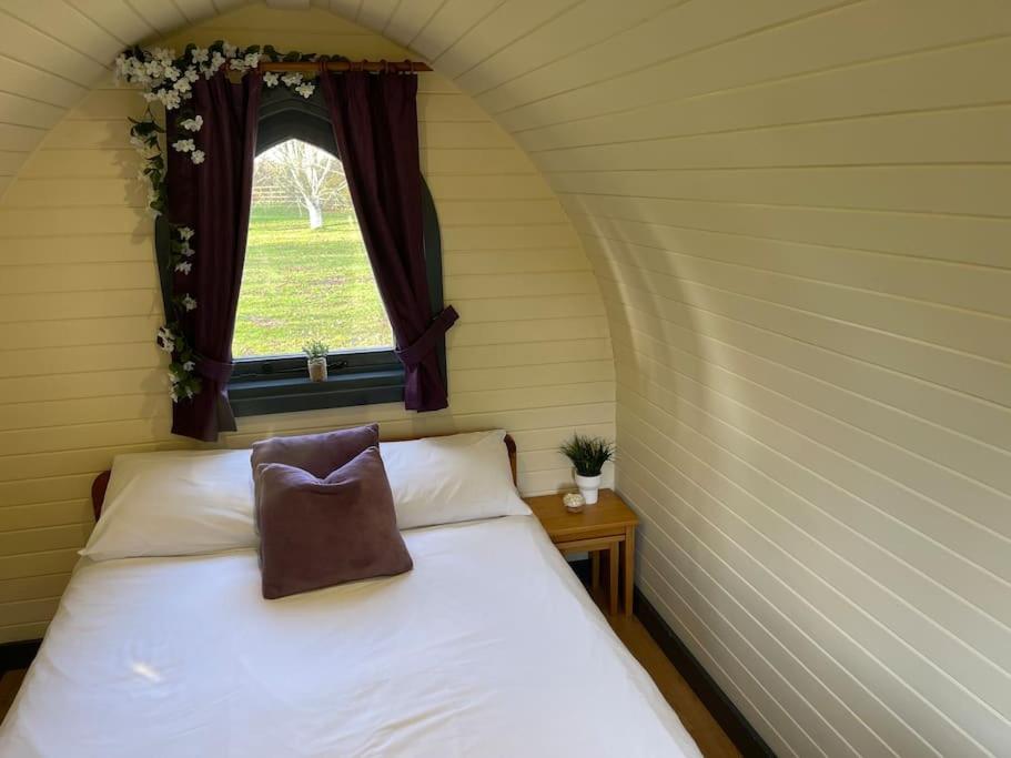 Campsite Belle Vista Glamping & York