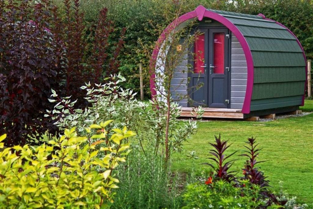 Belle Vista Glamping &