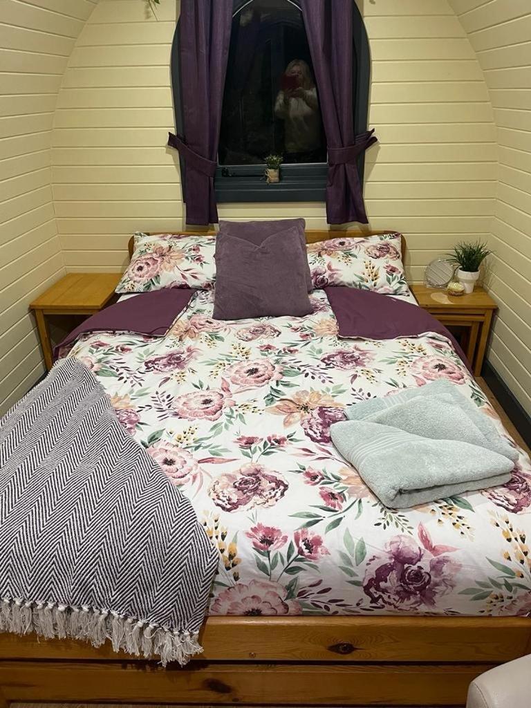 Campsite Belle Vista Glamping & *