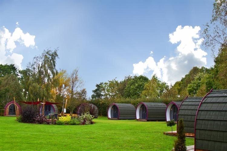 Belle Vista Glamping & *
