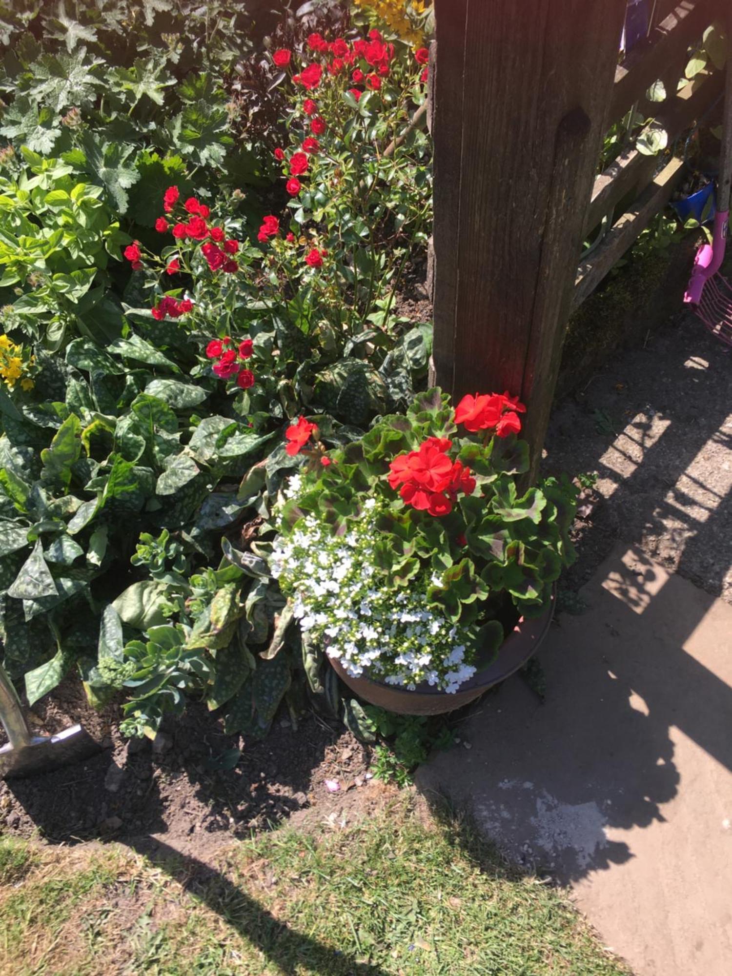 Oscar Park Farm *