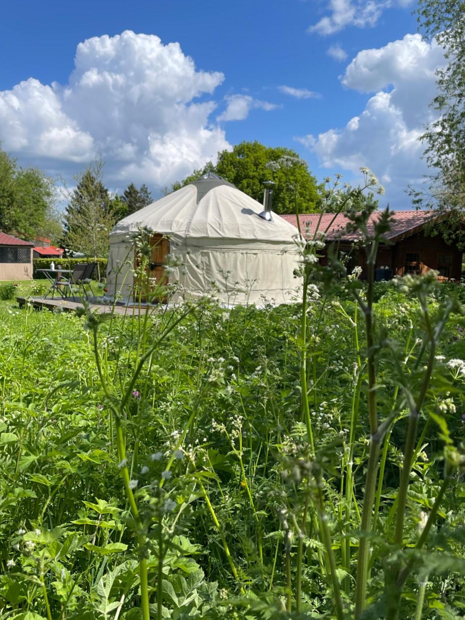 Acorn Glade Glamping *