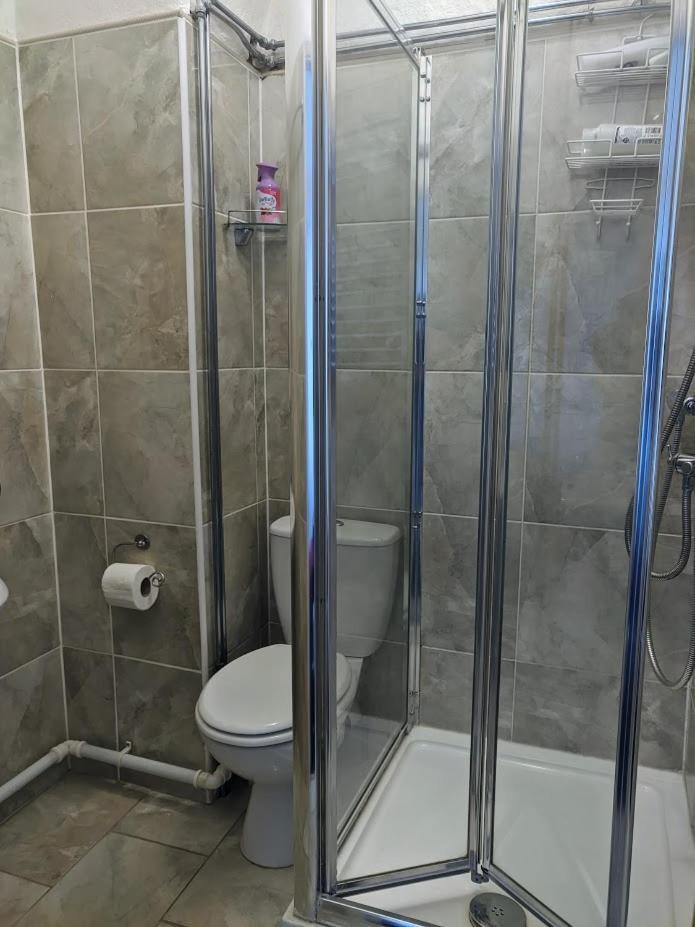 Guest house The Sycamore 4*