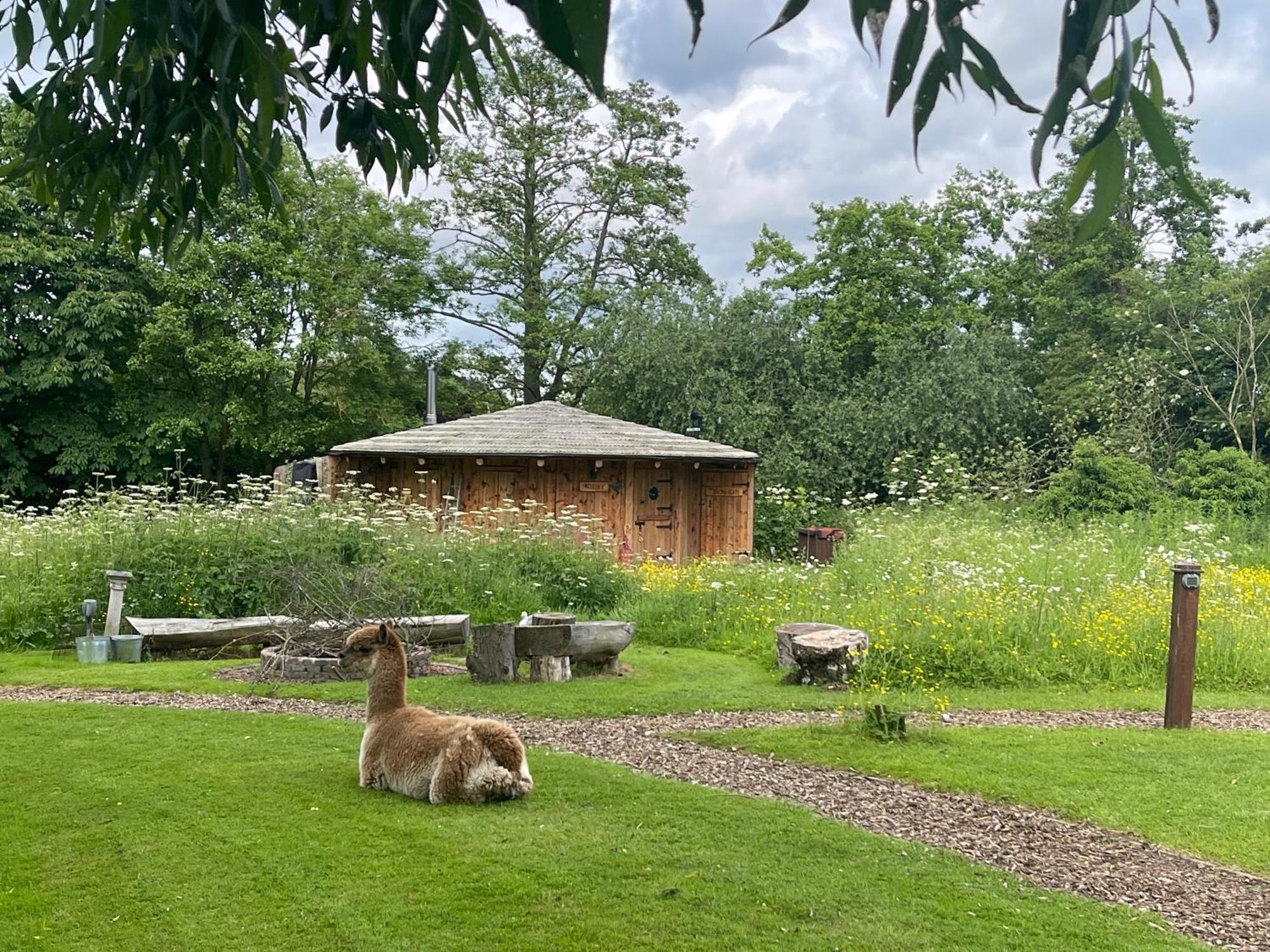 Acorn Glade Glamping