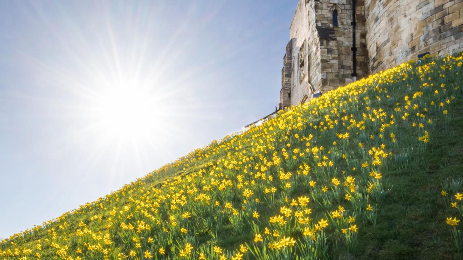 Dovecote House - Luxury Town House - Dog Friendly York
