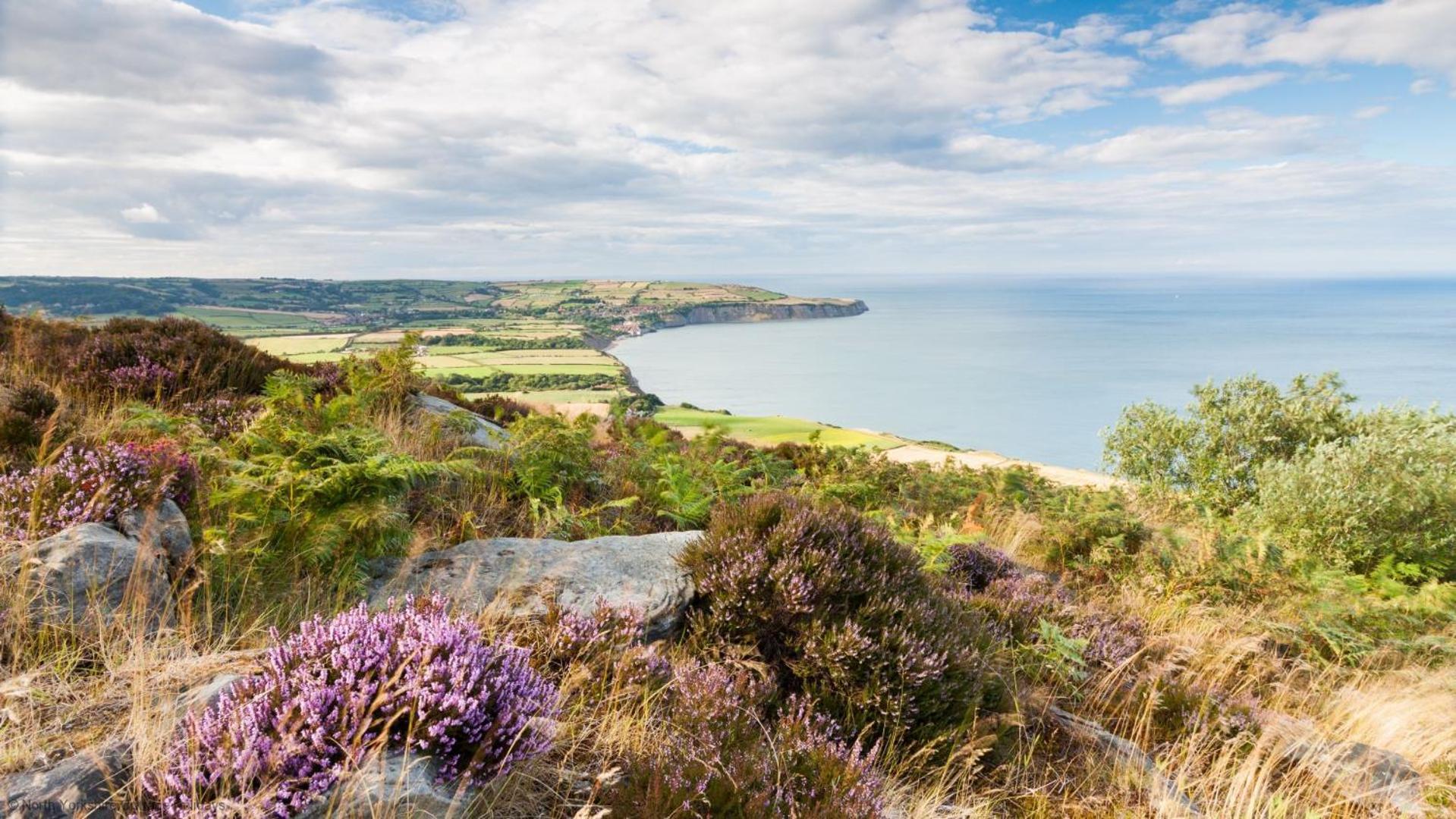 Holiday home Dovecote House - Luxury Town House - Dog Friendly *