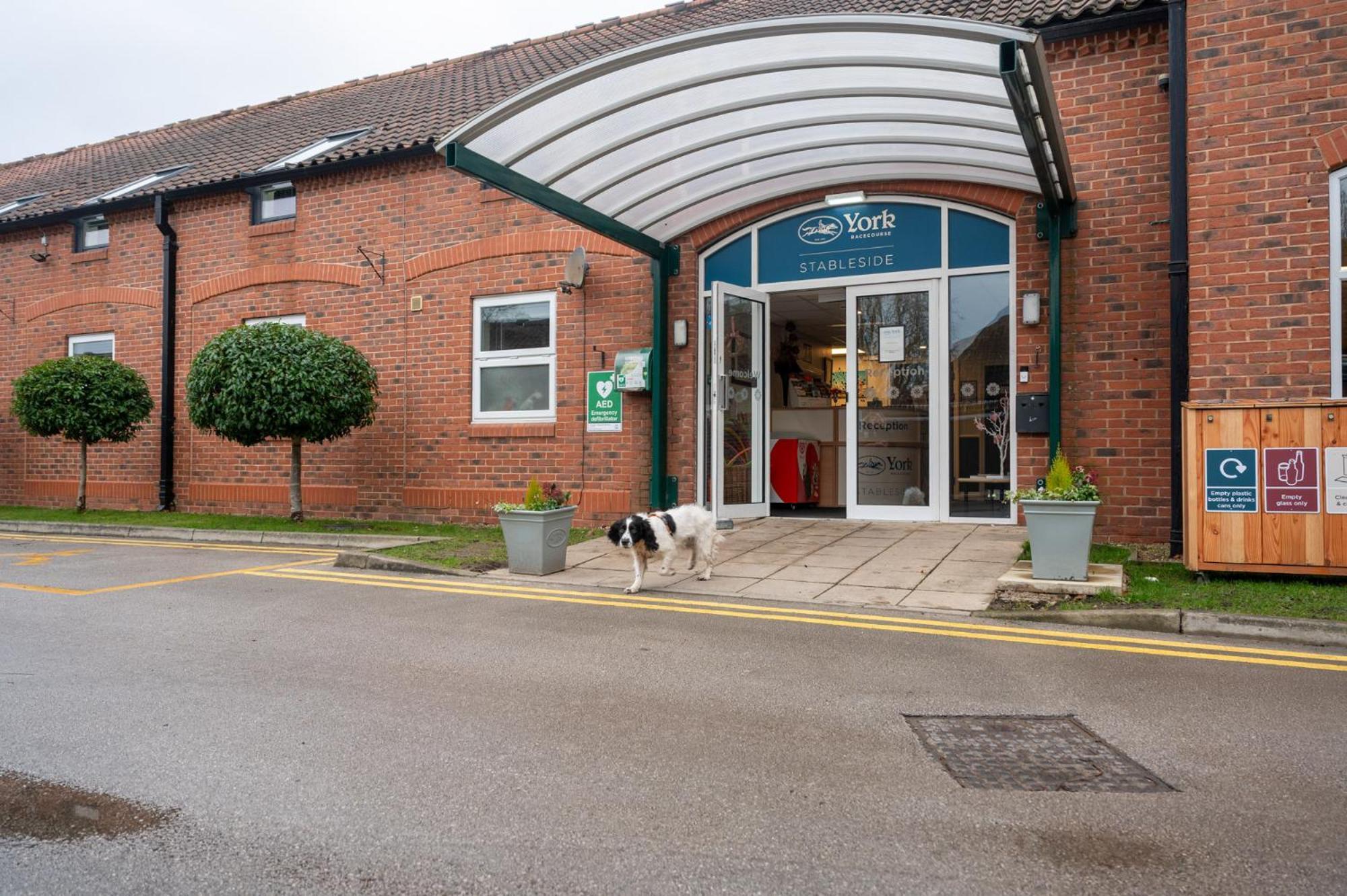 Stableside At Racecourse York