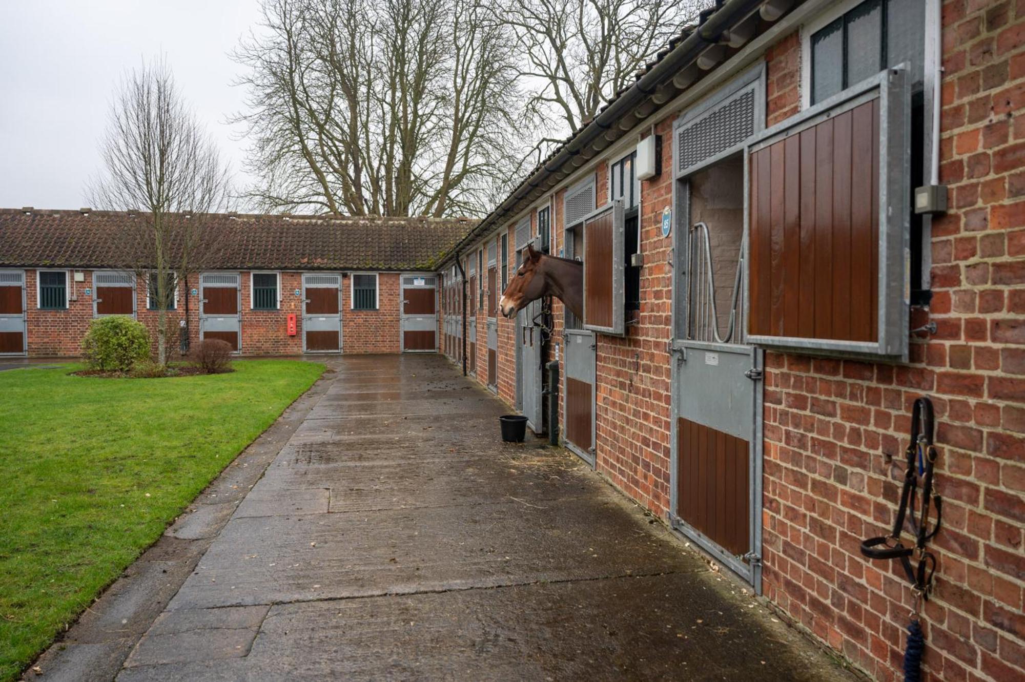 Stableside At Racecourse York