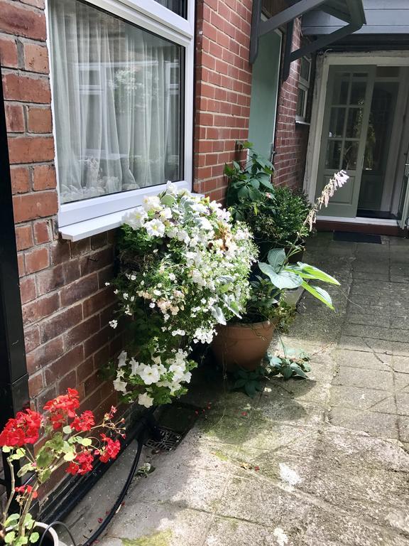 Guest house Dairy 4*