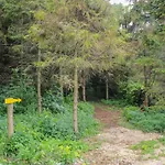 Wayside Cottage