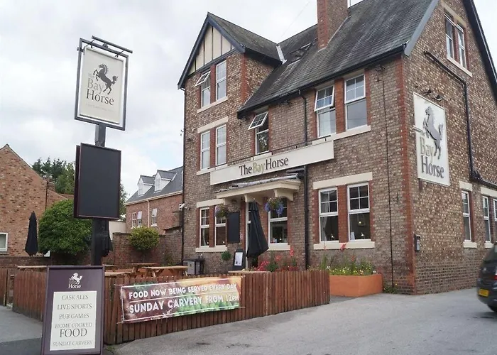 The Bay Horse
