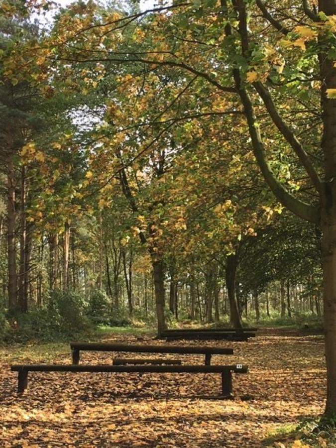 Hollicarrs - Kingfisher Lodge York