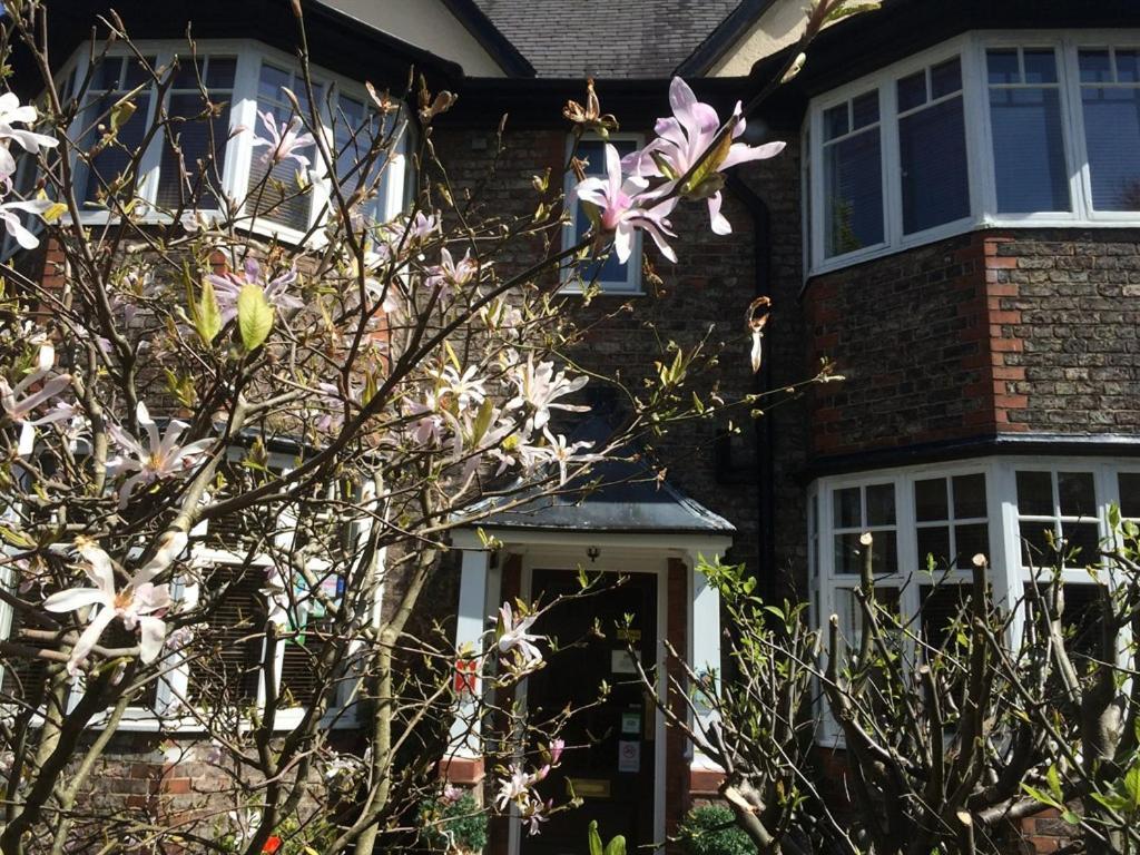 The Limes Guest house 4*