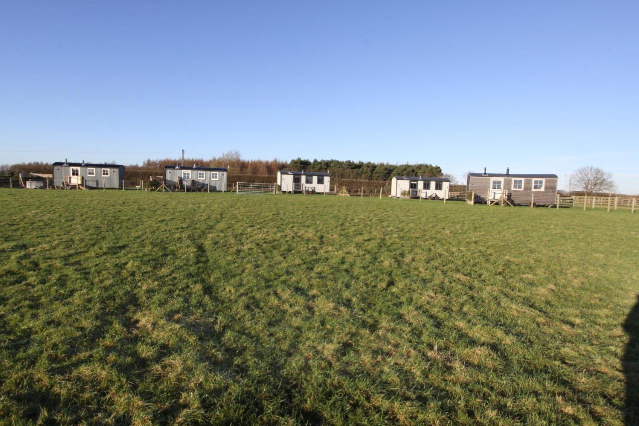 Springwood Shepherd Huts Glamping Holiday home York
