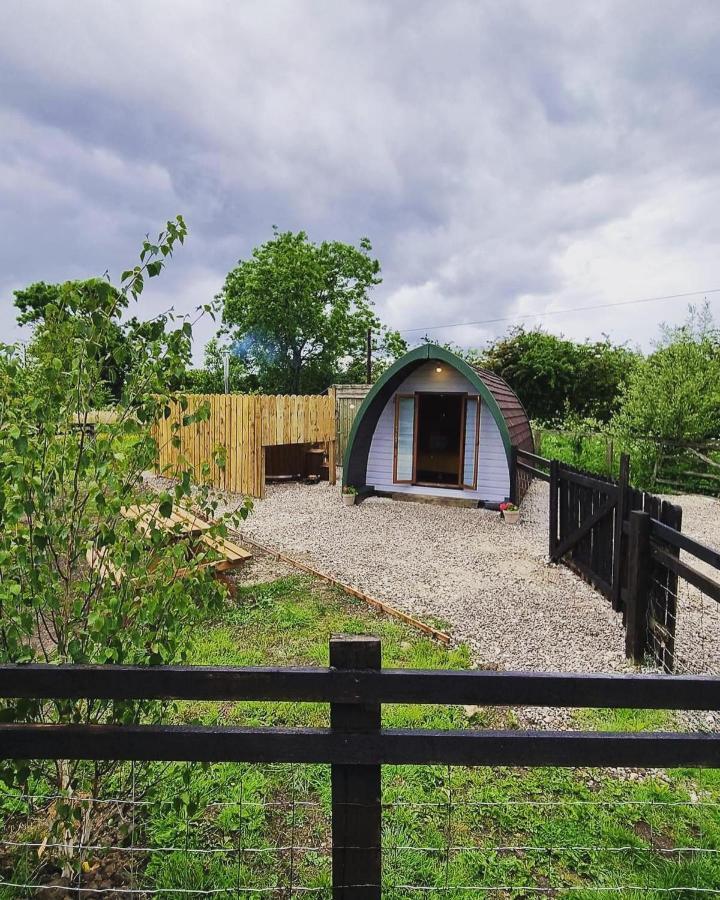 Campsite Skipbridge Farm Glamping York