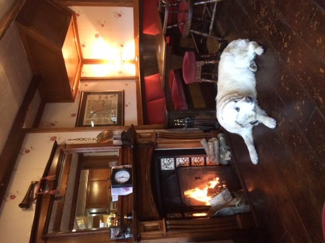 Inn The Bay Horse