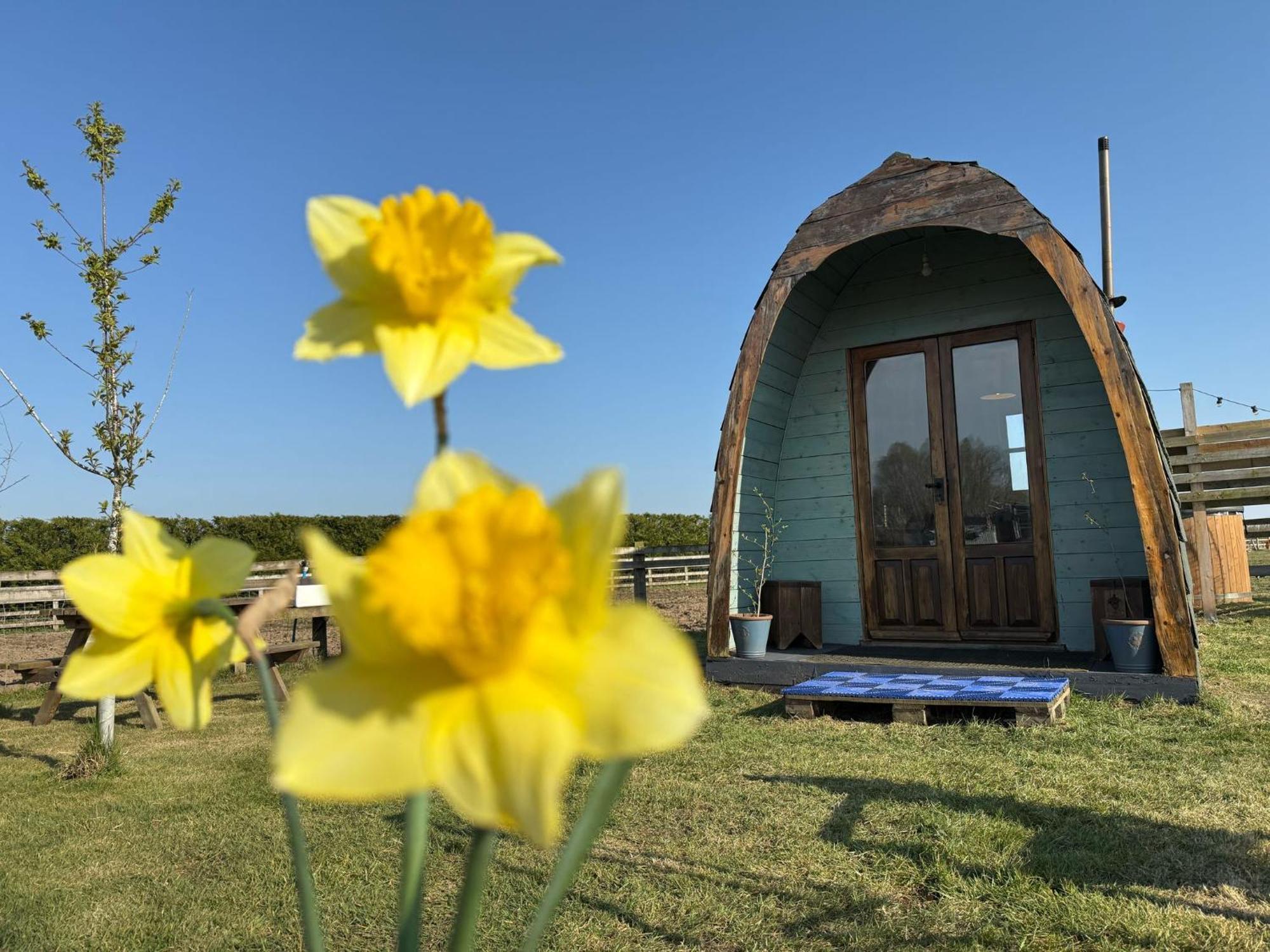 Campsite Skipbridge Farm Glamping