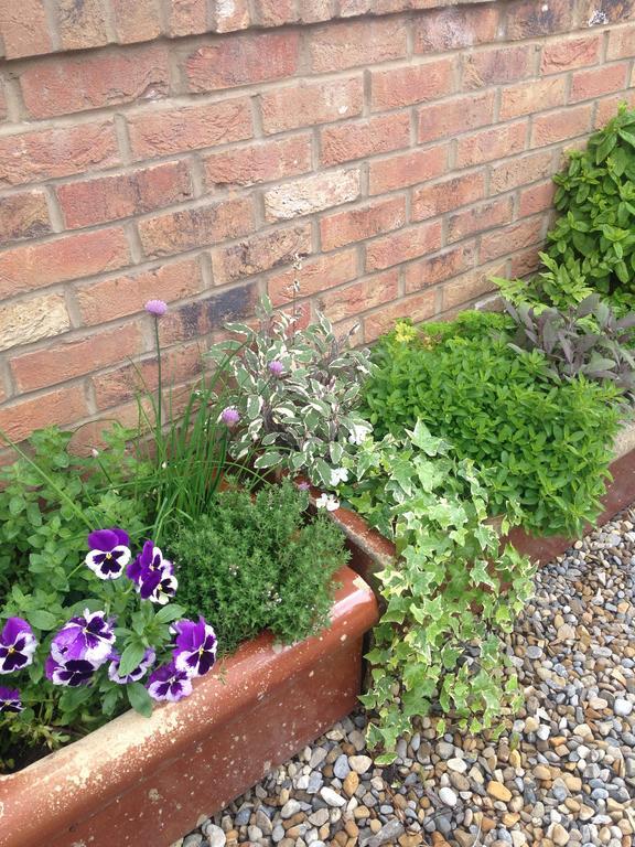 Guest house No93 Oower Hoose York