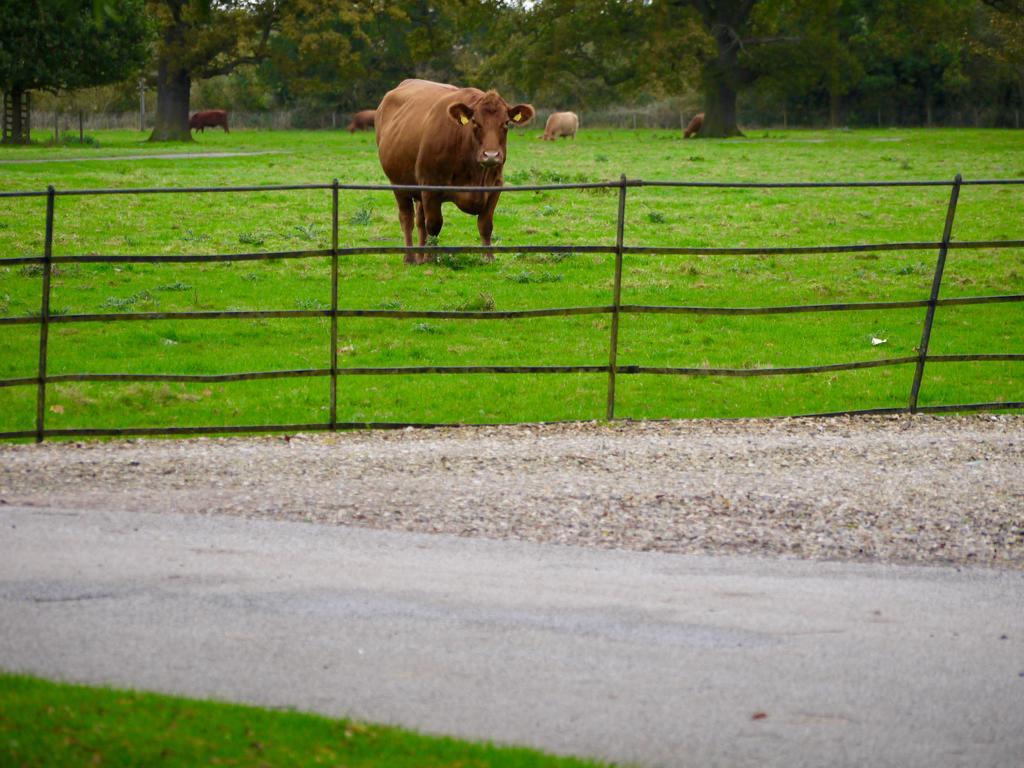 Houghton Hall Holiday Holiday home