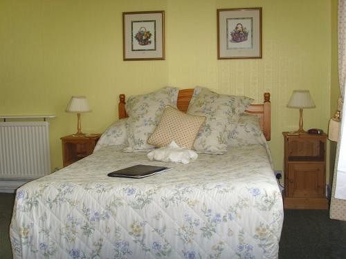 City Guest House